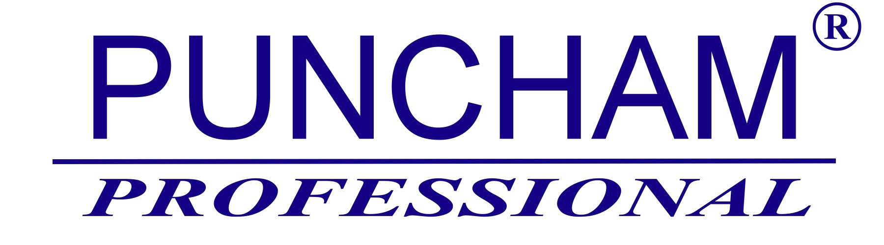 Puncham – Dụng Cụ Cầm Tay & Thiết Bị Công Nghiệp Chính Hãng tại 1Depot
