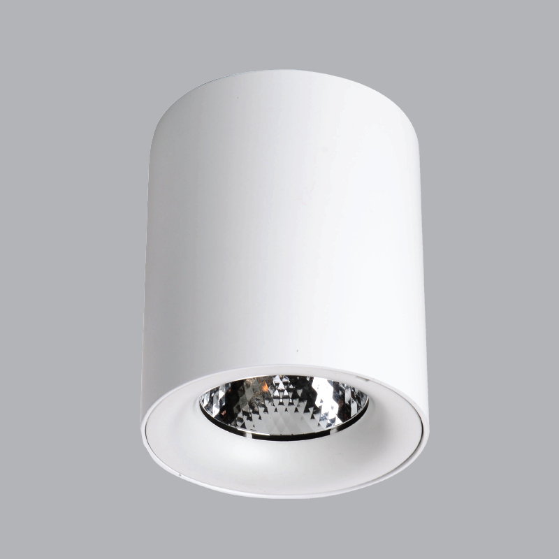 Đèn Led downlight tròn lắp nổi MPE 24W, 145.8x170mm - SDL-25T ánh sáng trắng