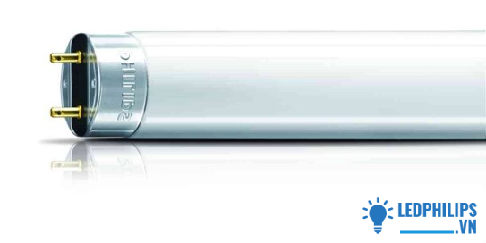 Bóng huỳnh quang 36W 1m2 Phillips TLD36W/54-765 1SL/30, ánh sáng trắng, 25 bóng/thùng