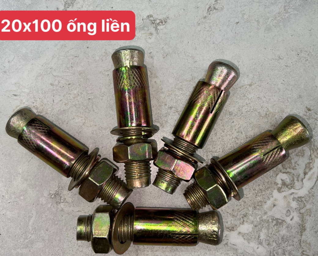 Tắc kê sắt M20 20x100mm