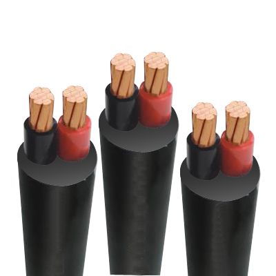 Cáp điện lực hạ thế ruột đồng 2 lõi cvv 2x6 màu đen Cadivi, cách điện pvc, vỏ pvc, giá tính theo mét