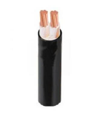 Dây cáp điện 2 lõi Cadivi CXV-2×2.5 mm2 – 0.6/1kV