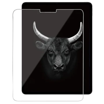 Kính cường lực dùng cho Ipad Air 11 inch