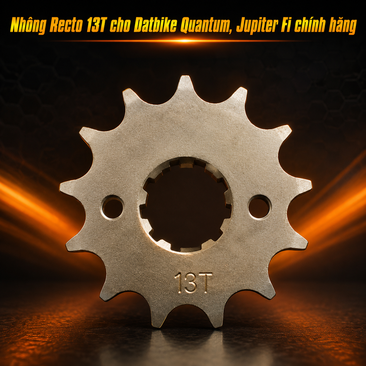 Nhông Recto 13T cho Datbike Quantum, Jupiter Fi chính hãng 071151